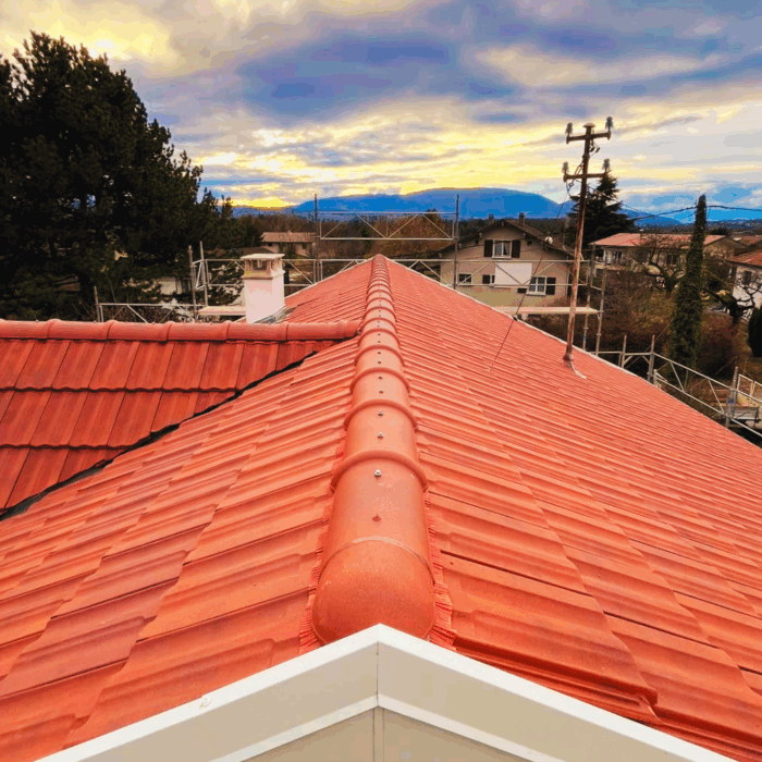 renovation de toitue