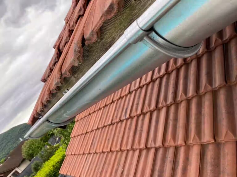 FB_IMG_1769674958263-ezgif